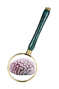 brain map magnify